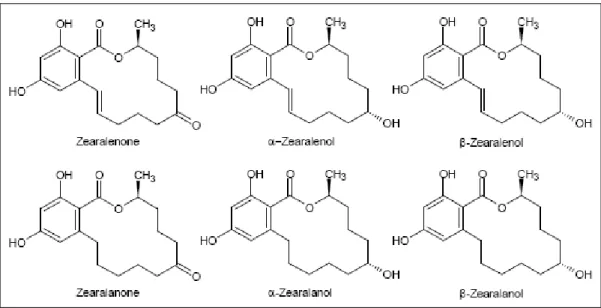 Şekil 1.1. Zearalenon ve türevlerinin kimyasal yapıları (Zinedine ve ark. 2007)