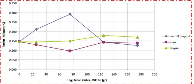 Şekil  4.4.  Farklı  gübre  uygulamalarının  meydana  getirdiği  kıvırcık  marul  yapraklarındaki  fosfor değişimleri 