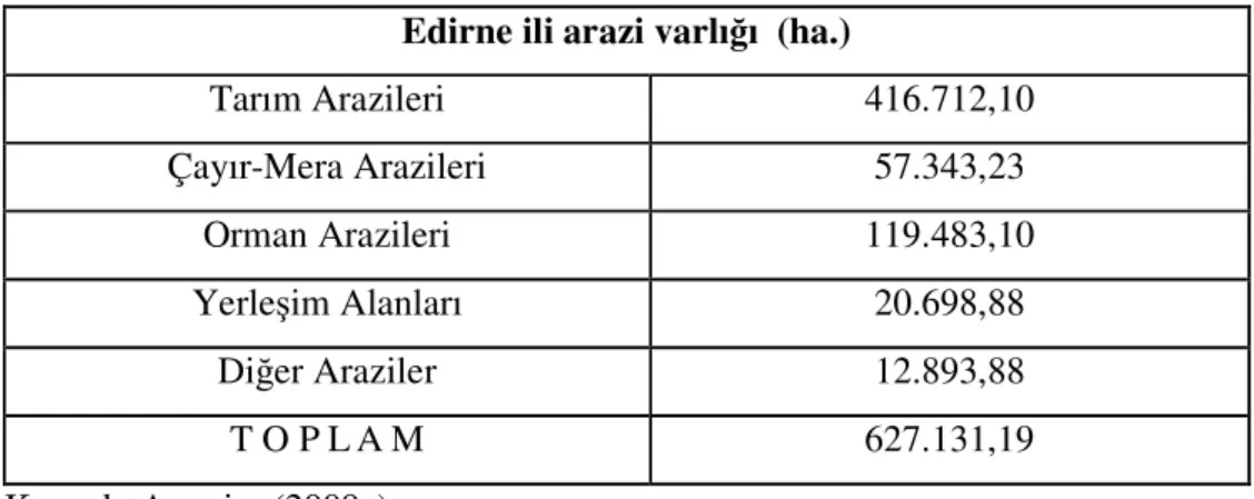 Çizelge 4.3.  Arazi Varlığı 