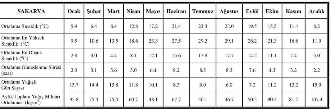 Çizelge 3.1. Uzun Yıllar İçinde Gerçekleşen Ortalama Değerler (1960 - 2012) (Anonim 2013)