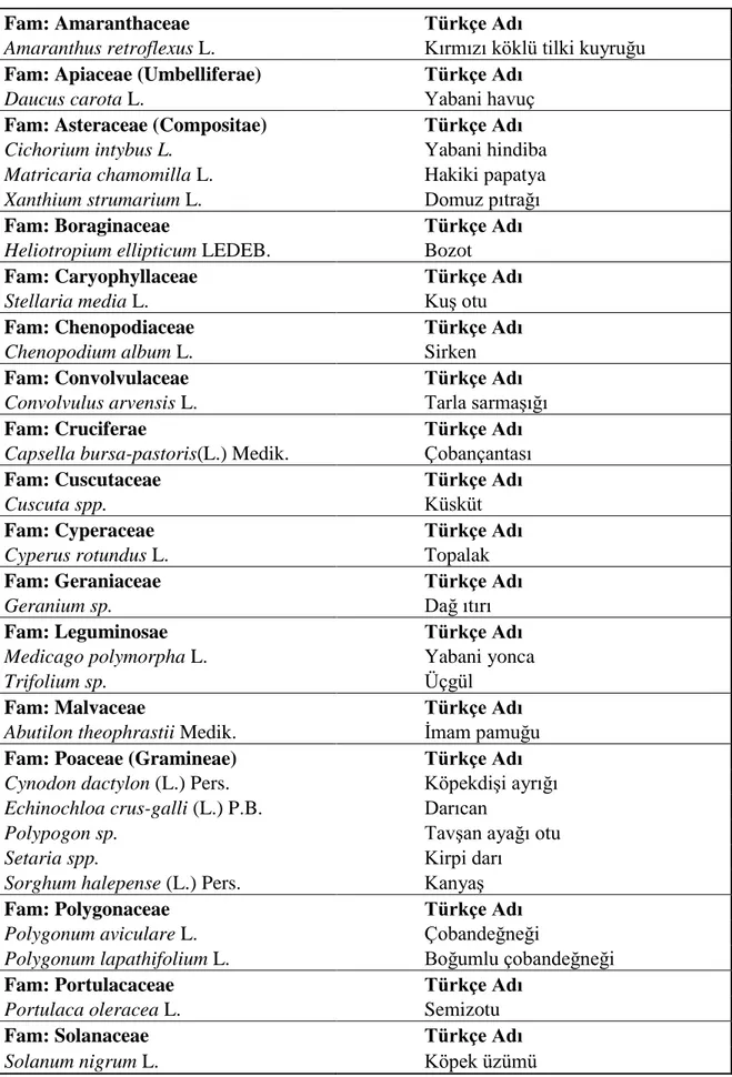 Çizelge 4.2. Sakarya ili şeker pancarı tarlalarında saptanan yabancı ot türlerinin familyalara  göre dağılımı 