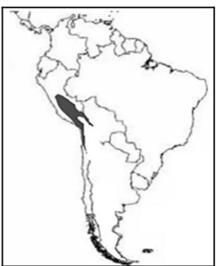 Şekil 2.2: Güney Amerika’da alpaka liflerinin en yoğun üretildiği yerler (ftp://ftp.fao.org, 2012) 