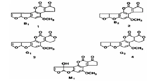Şekil 2.2.  Aflatoksinlerin kimyasal yapısı (Holcomb ve ark. 1992) 