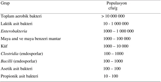 Çizelge  2.1.  Silolama  dönemine  kadar  bitkide  bulunan  bakteriyal  ve  fungal  grupların  populasyonu 