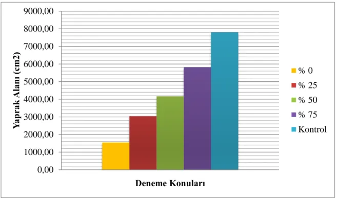 Şekil 4.4.  Farklı  su  uygulamalarının  yerkirazının  yaprak  alanı  ortalamalarına  etkisi  (cm 2 )  üzerine farklılıkları 