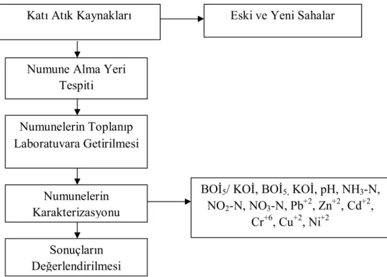 Şekil 3.1.  Deneysel Çalışma Planı Özeti 
