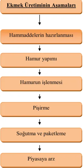 ġekil 4.1. Ekmek Üretiminin AĢamaları 