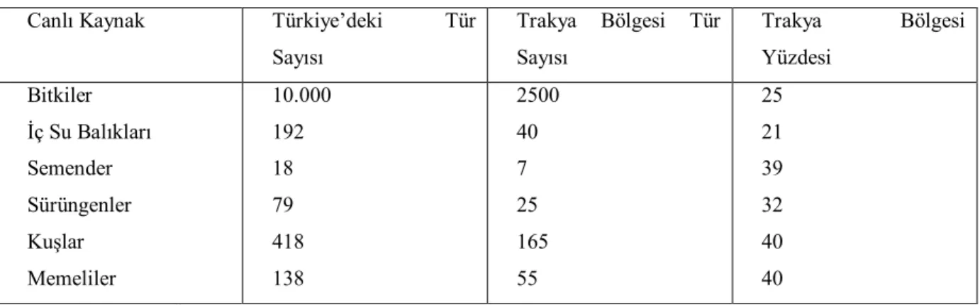 Çizelge 4.6: Trakya Bölgesinin Fauna ve Endemik Hayvan Türleri  Canlı Kaynak  Türkiye’deki  Tür 