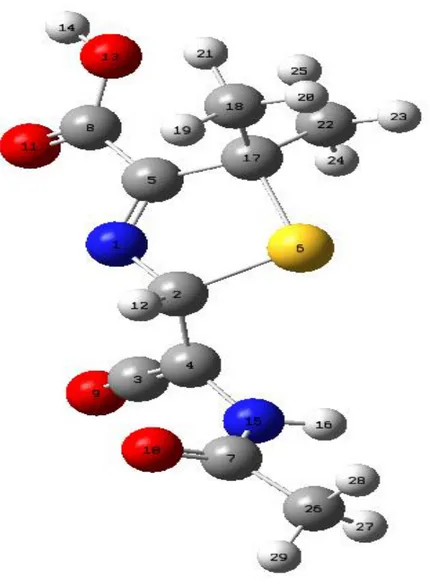 Şekil 6.6: Penisilin molekülünün DFT yöntemiyle elde edilen optimum geometrisi 