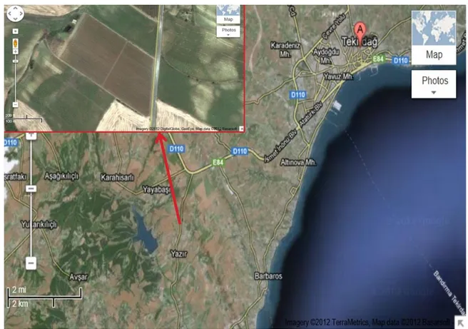 Şekil 3.1.2. Deneme alanının konumu (Google Earth, 2012) 