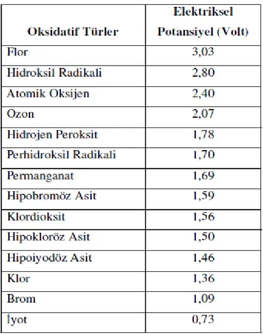 Çizelge 3.1: Oksidatif türler ve elektriksel potansiyelleri (Clarke ve Knowles 1982) 