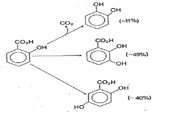 ġekil 3.2:  Fenil alaninin hidroksillenme ürünü 