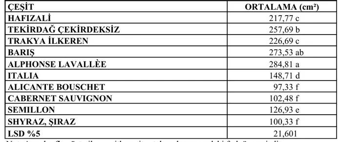 Çizelge 4.3 İncelenen Üzüm Çeşitlerinin, Yaprağın Ağırlık- Alan İlişkisinden Yararlanarak  Bulunan (A) Yaprak Alanları (cm²)