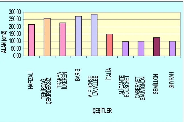Şekil   4.3   İncelenen   Üzüm   Çeşitlerinin,   Yaprağın   Ağırlık-Alan   İlişkisinden   Yararlanarak  Bulunan (A) Yaprak Alanları (cm²)