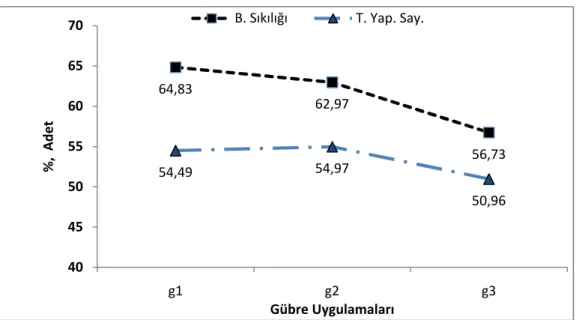 Şekil 4.4.Gübre uygulamalarına göre baş sıkılığı ve toplam yaprak sayısı