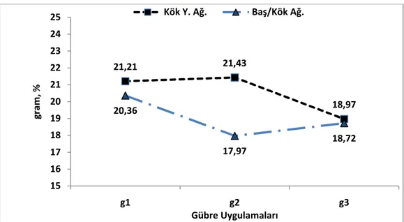 Şekil 4.7.Gübre uygulamalarına göre kök yaş ağırlığı ve baş/kök ağırlığı oranını