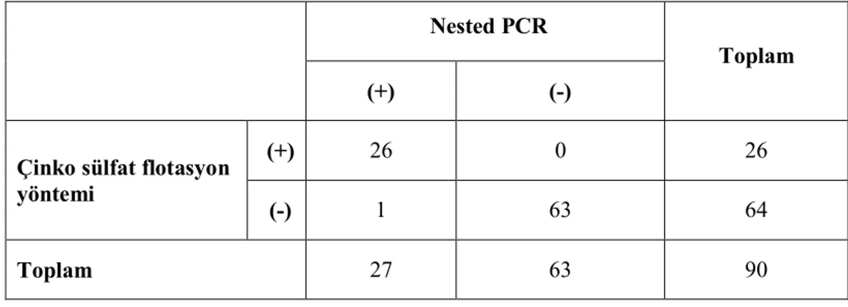 Çizelge  4.1.  Nested  PCR  ve  çinko  sülfat  flotasyon  yöntemlerinden  elde  edilen  sonuçların 