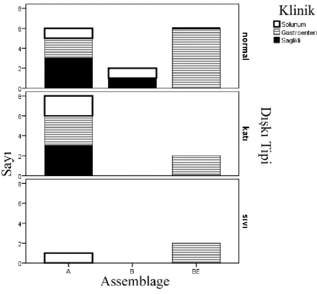 Şekil 4.5. Assemlage ve dışkı tipi arasındaki ilişkinin bar grafik analizi 