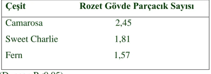 Çizelge  4.6.  Çilek  çeĢitlerinin  rozet  gövde  parçacık  sayıları  bakımından  kıyaslanması 