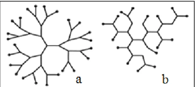 Şekil 2.2: (a) Dendrimer ve (b) hiperdallanmış (hyperbranched) polimerlerin genel yapısı 