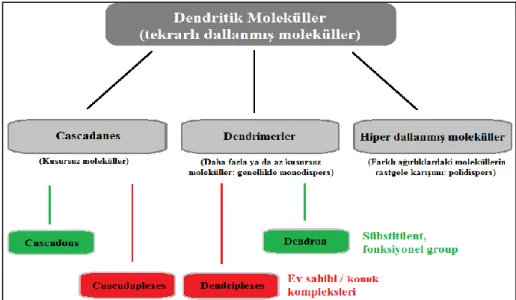 Şekil 2.6: Dendritik moleküllerin sınıflandırılması (Vögtle ve ark. 2009) 