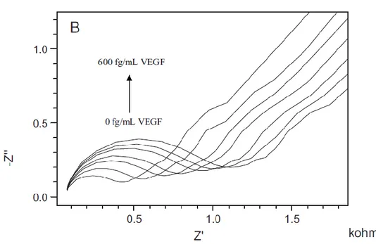 Şekil 2.12. Artan VEGF konsantrasyonlarına karşı elde edilen kompleks impedans spektrumlarının 