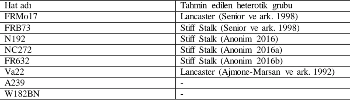 Çizelge  3.2.  Materyal  olarak  kullanılan  kullanıma  açık  (public)  mısır  hatları  ve  heterotik  grupları 