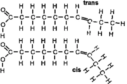 Şekil 2.4. Cis ve trans izomerik yapıları (Anonymous 2009c) 