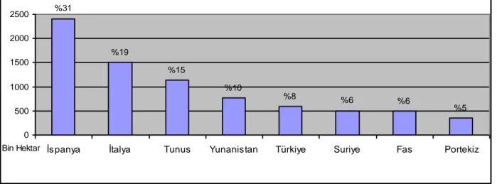 ġekil 1.2. Bazı Akdeniz ülkelerinin zeytin üretim miktarları (bin ton).                    ġekil 1.1 ve 1.2 incelendiğinde, Ġspanya‟nın 2.400 bin hektar alanda 4.556 bin ton zeytin  üretimiyle dünyada birinci  sırada  yer aldığı  anlaĢılmaktadır