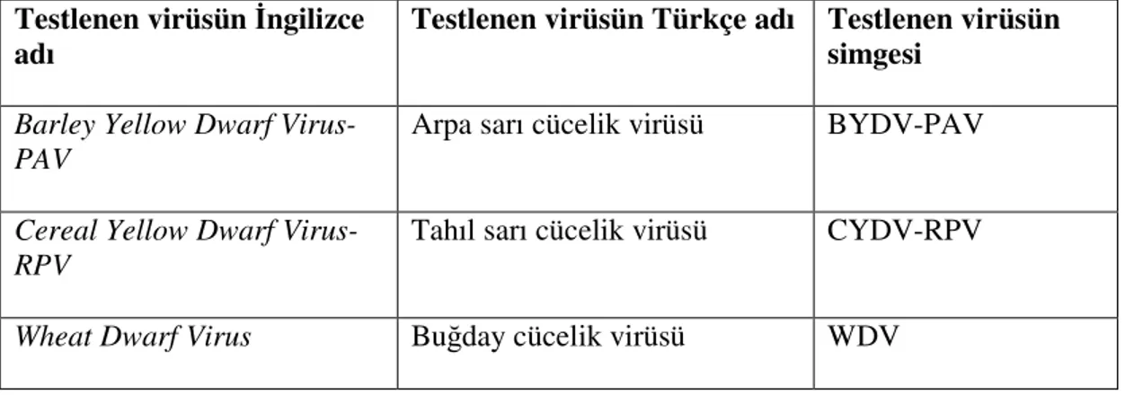 Çizelge  3.1.  Yabancı  ot  örneklerindeki  virüslerin  tanılanmasında  serolojik  testler  için  kullanılan antiserumlar 