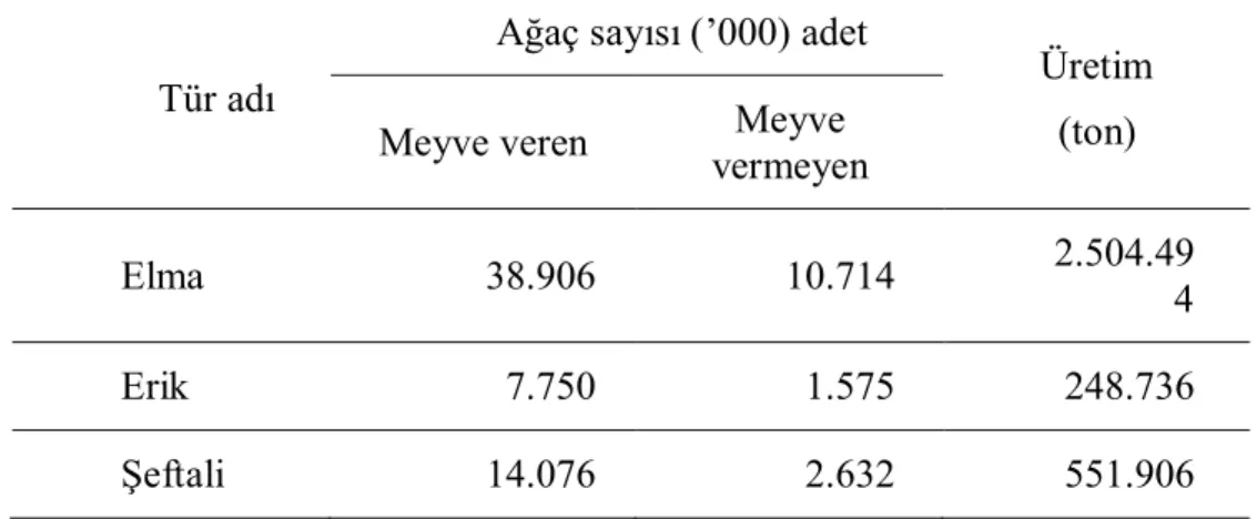 Çizelge 1.1. Türkiye’de yetiştirilen elma, erik ve şeftali türlerine ait ağaç sayıları ve  üretim miktarları (2008) 