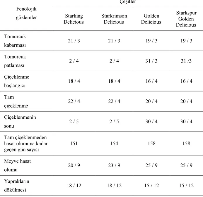 Çizelge 4.1. Üzerinde çalışılan elma çeşitlerine ait fenolojik kayıt verileri (2009). 