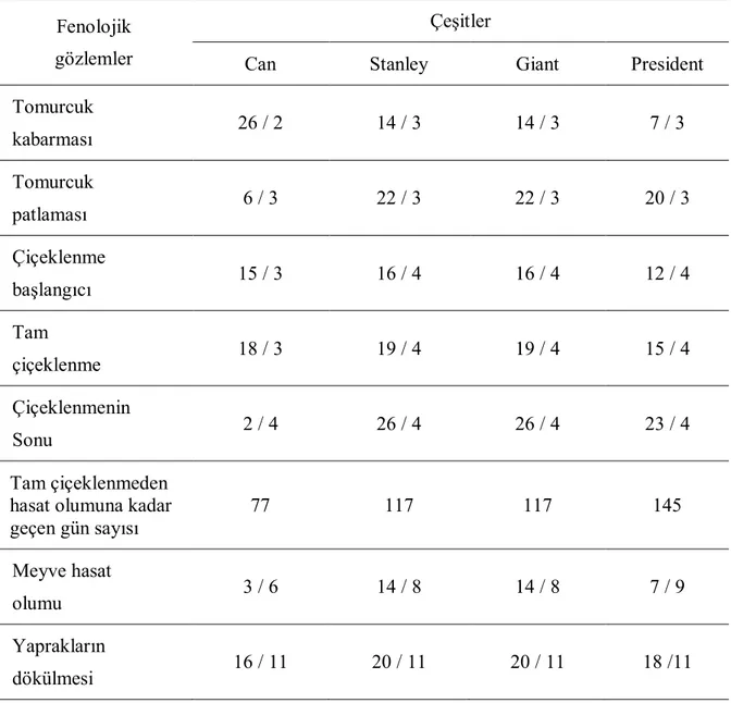 Çizelge 4.2. Üzerinde çalışılan erik çeşitlerine ait fenolojik kayıt verileri (2009).  Fenolojik 