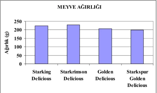 Şekil 4.3. Üzerinde çalışılan elma çeşitlerinin meyve ağırlıklarına ait veriler 