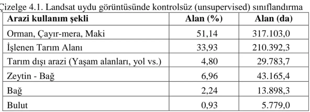 Çizelge 4.1. Landsat uydu görü