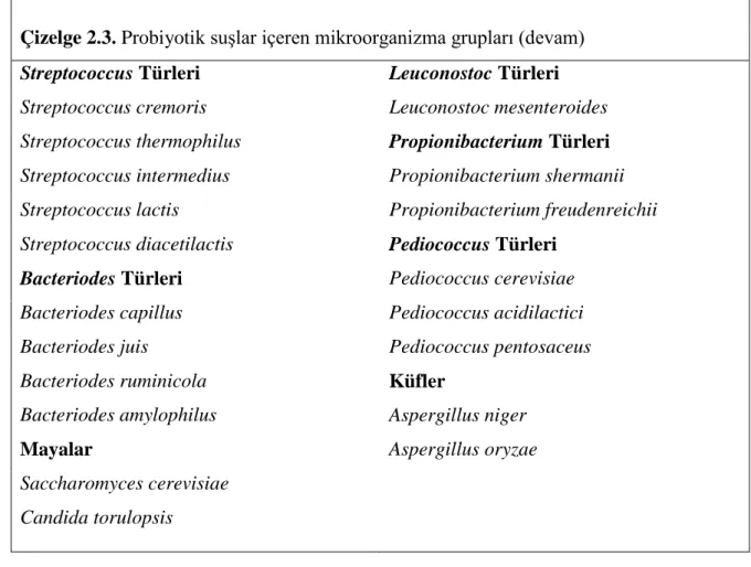 Çizelge 2.3. Probiyotik suşlar içeren mikroorganizma grupları (devam) 