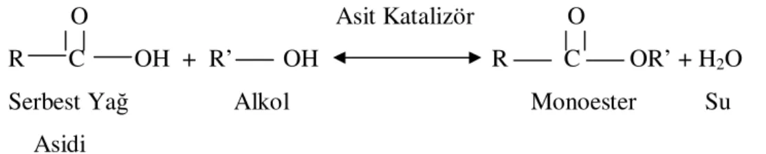 Şekil 2.3. Esterifikasyon Reaksiyonu 