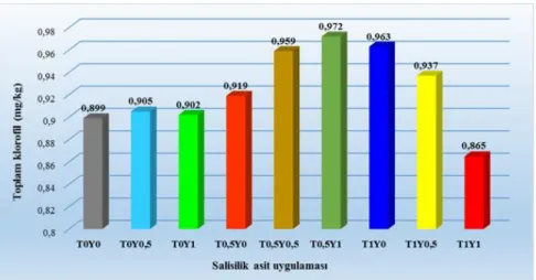 Şekil 4.11.1. 2011 yılı toplam klorofil miktarı ile salisilik asit ana etkisi arasındaki değişim 