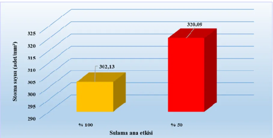 Şekil 4.13.1. 2011 yılı stoma sayısı  ile sulama ana etkisi ilişkisi değerleri