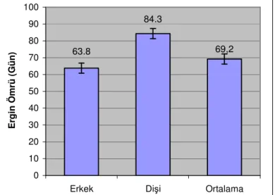 Şekil 4.5. Doğal koşullarda Oulema melanopus kışlamış ergin ömrü 