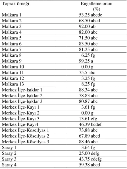 Çizelge  4.  Toprak  örneklerindeki  uçucu  bileşiklerin  A.  niger  'in  spor çimlenmesini engelleme oranları 