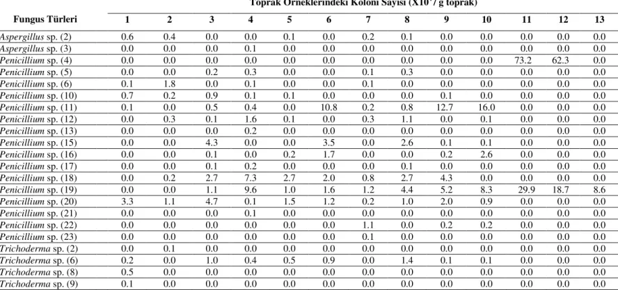 Çizelge 5. Malkara ilçesine ait topraklarda TSM ortamında tespit edilen fungus türleri 