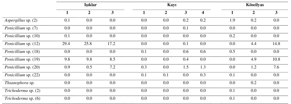 Çizelge 7. Merkez ilçeye ait topraklarda TSM ortamında tespit edilen fungus türleri  Merkez İlçe 