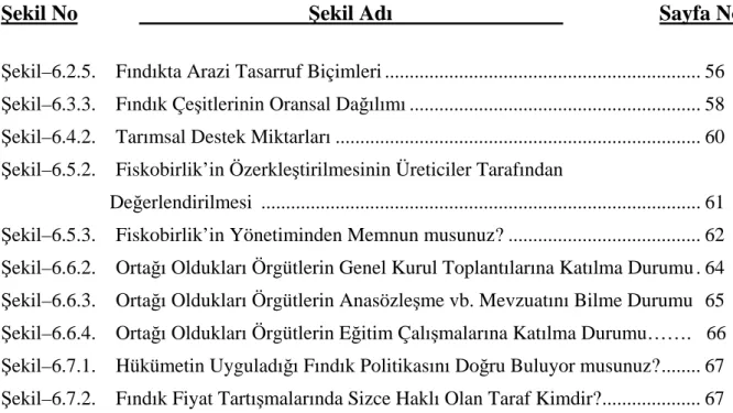 Şekil No           Şekil Adı                             Sayfa No 