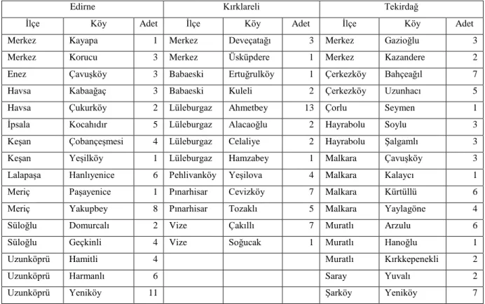 Çizelge 3.1. Anket çalışması uygulanan köyler  