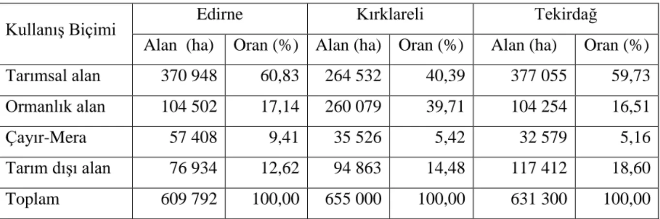 Çizelge 4.1. Arazi kullanım durumu 