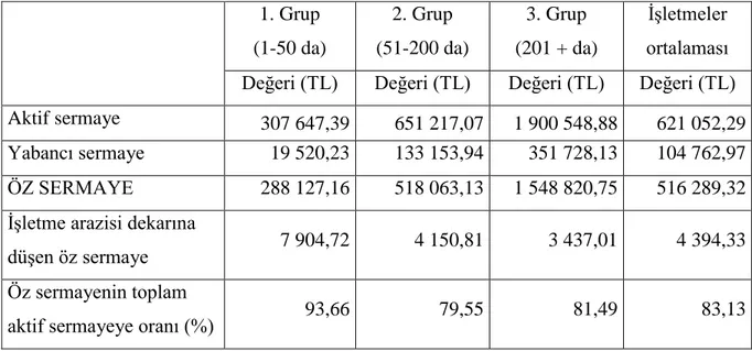Çizelge 5.12. Öz sermaye (TL)  1. Grup  (1-50 da)  2. Grup  (51-200 da)  3. Grup  (201 + da)  İşletmeler  ortalaması  Değeri (TL)  Değeri (TL)  Değeri (TL)  Değeri (TL) 