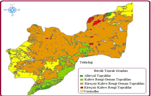 ġekil 3.2. Tekirdağ ili büyük toprak grupları haritası 