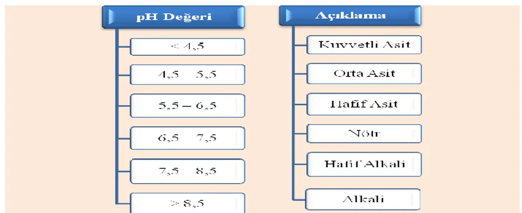 Çizelge 3. 2. Toprak pH değerinin yorumlanması (Alpaslan ve ark. 2005) 