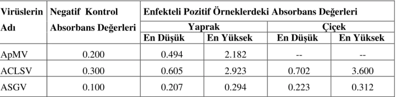 Çizelge 4.2. DAS-ELISA testi absorbans değerleri  